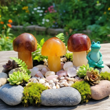 Μανιτάρι Carnelian