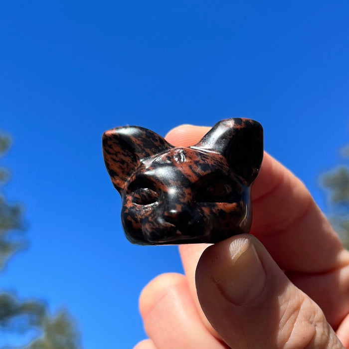 The red obsidian cat head held between thumb and fingers against a blue sky, showing its black and mahogany markings