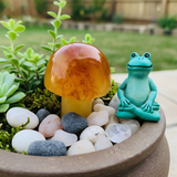 Μανιτάρι Carnelian