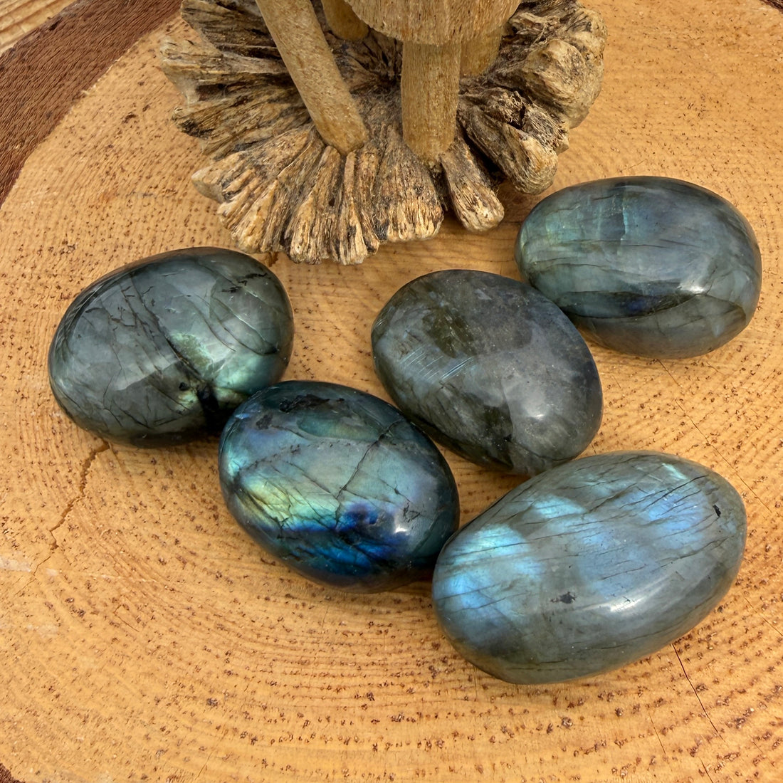 Five polished labradorite tumbled stones on a wooden slice, each flashing its own blue, green and gold