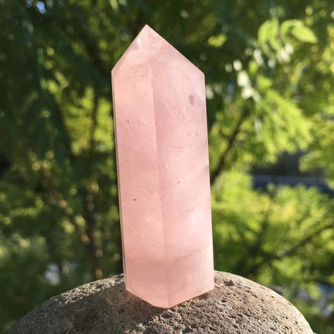 $5 Rose Quartz Crystal - 1 Dag kun PROMO