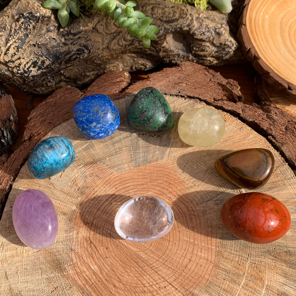 Eight polished tumbled stones in a ring on a wood slice: red jasper, tiger eye, citrine, ruby in zoisite, lapis lazuli, apatite, amethyst and clear quartz