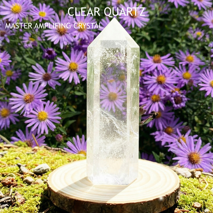 A clear quartz point standing on a wooden slice among purple asters