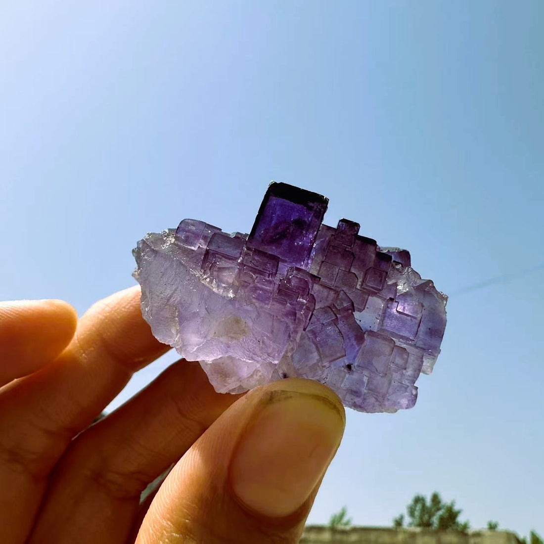 The purple fluorite specimen held up against a blue sky, light glowing through its translucent violet cubes