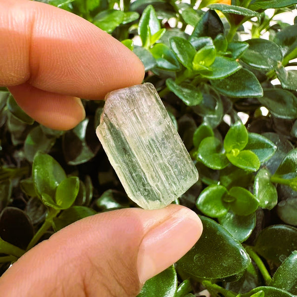 Μεγάλο (1,19 λίβρες) Μωβ Flash Labradorite Freeform (Είδος #0077)