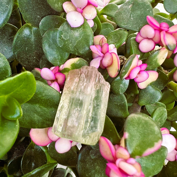 Μεγάλο (1,19 λίβρες) Μωβ Flash Labradorite Freeform (Είδος #0077)
