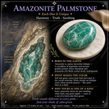 60 % rabat på Amazonite Palmstone 1-dag-kun