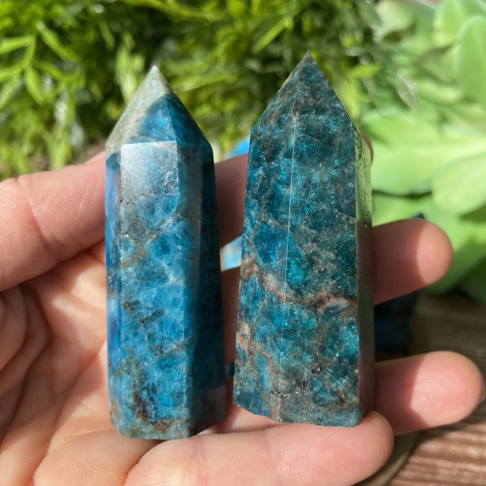 Two polished blue apatite points standing upright in an open hand