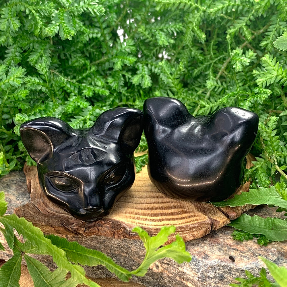 Two polished black agate cat-head carvings on a wood slice, one facing forward with a carved third eye on its brow, one turned to show the back of its head