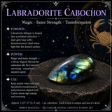 ♋ Krabbamein - 21. júní - 22. júlí - Zodiac Crystal Fusion sett með poka