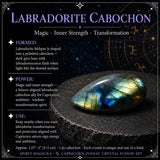 ♑ Stenbukken - 22. december - 19. januar - Zodiac Crystal Fusion Sæt med etui