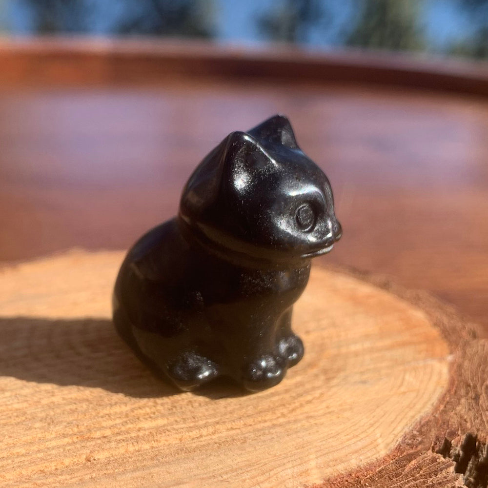 A small polished black agate cat carving sitting on a wooden slice in the sun