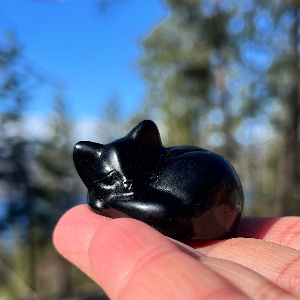 The black agate sleeping cat resting on two fingertips outdoors in sunlight