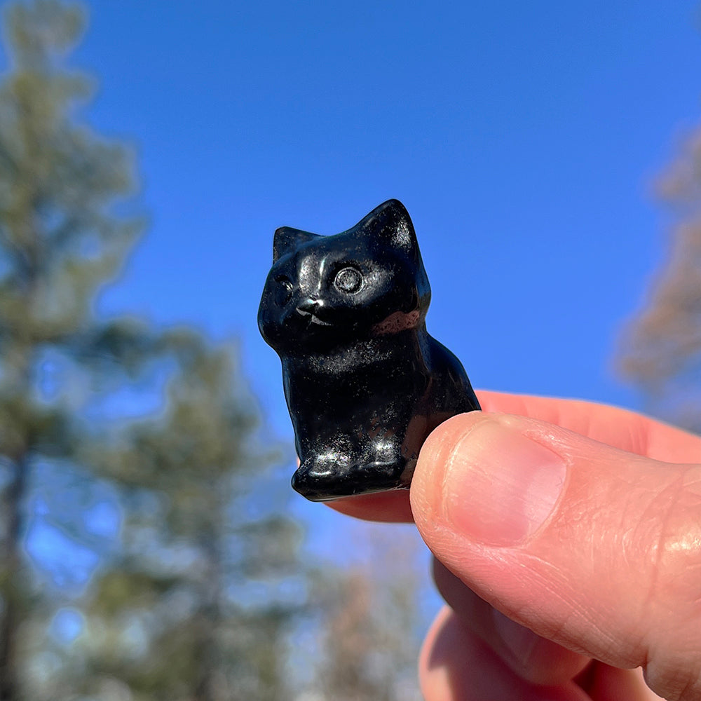 The black agate cat held between finger and thumb against a blue sky