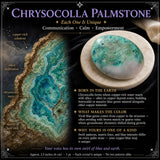 Chrysocolla palmesten