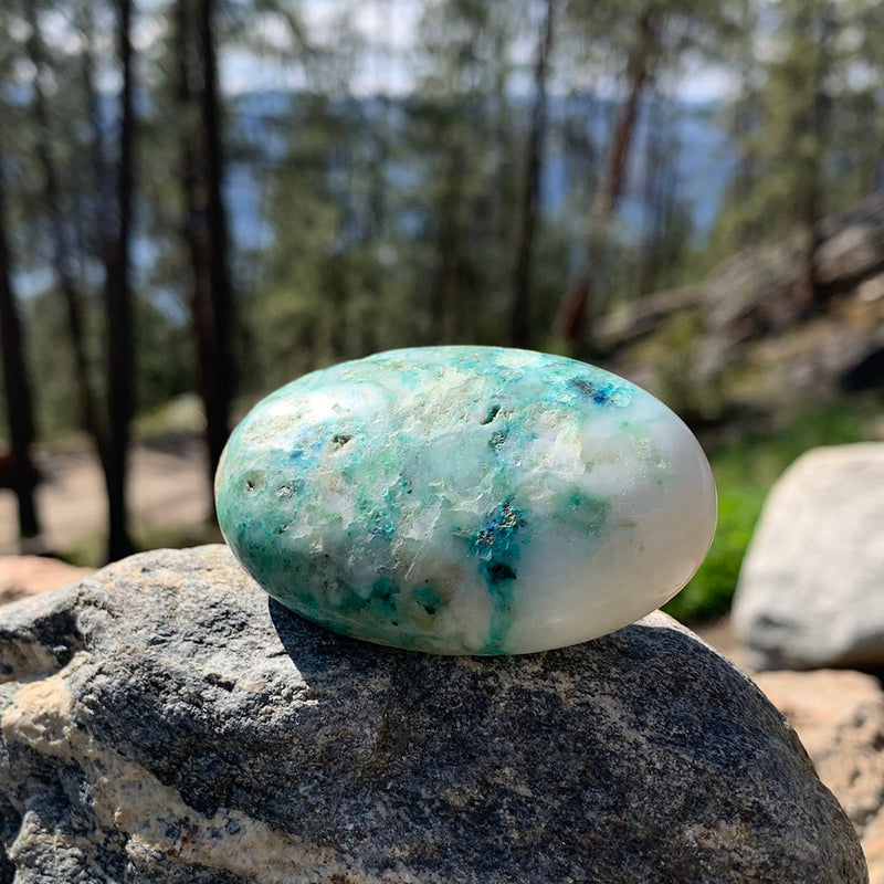 Chrysocolle Palmstone