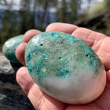 Chrysocolla palmesten