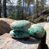 Chrysocolla palmesten