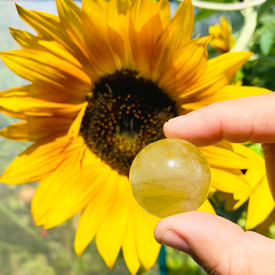 A citrine sphere held between finger and thumb in front of a sunflower