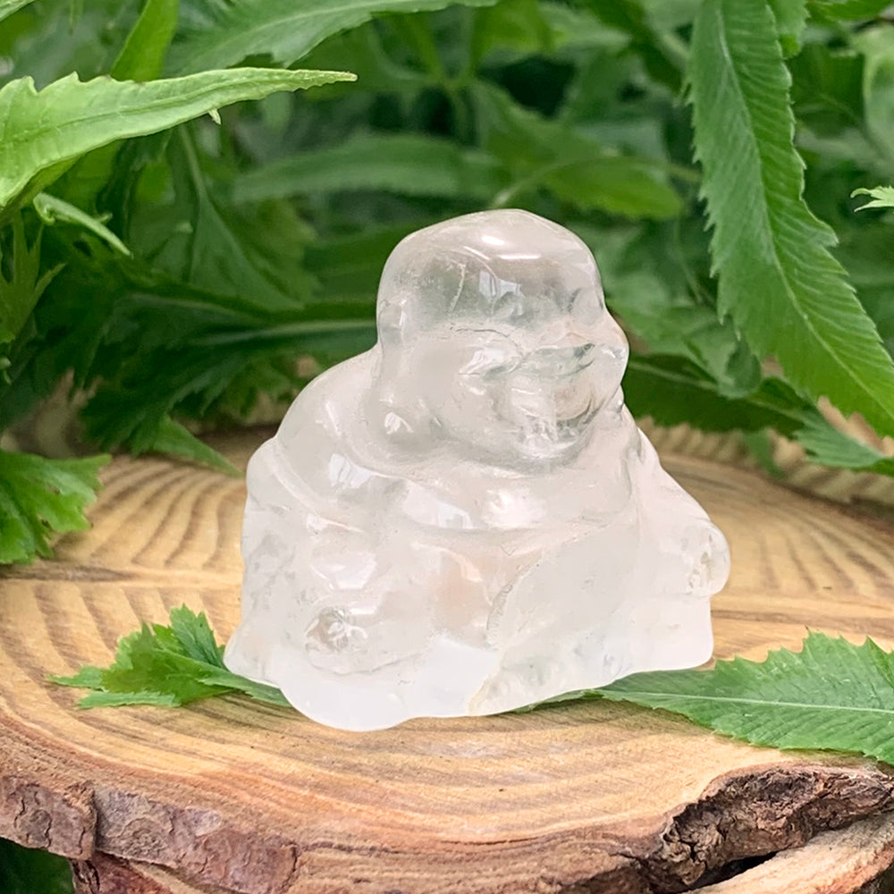 A small seated Buddha carved from clear quartz on a wooden slice among green leaves