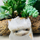 Crystal Quartz Hedgehog Pet (ADOPT ME PLEASE) 🥰