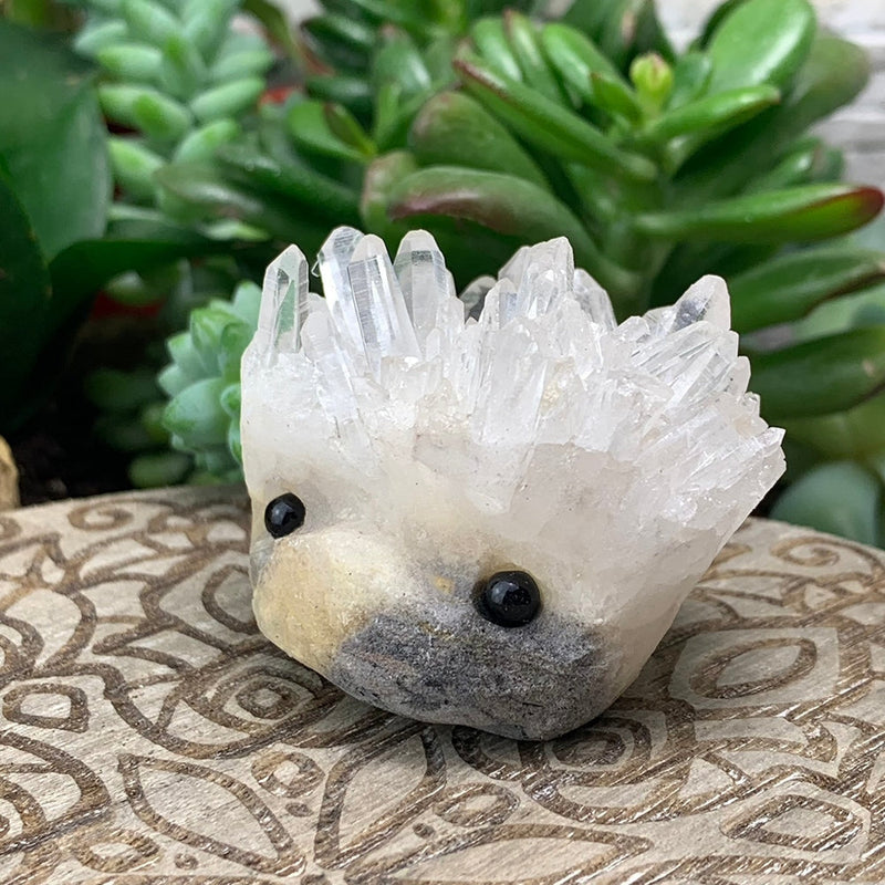 Crystal Quartz Hedgehog Pet (ADOPT ME PLEASE) 🥰