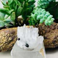 Crystal Quartz Hedgehog Pet (ADOPT ME PLEASE) 🥰