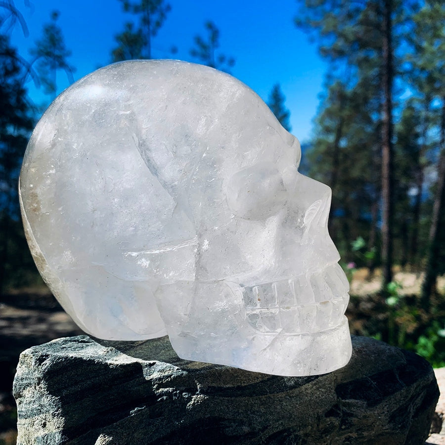 The clear quartz skull in side profile on a stone outdoors, sunlight showing the veils inside