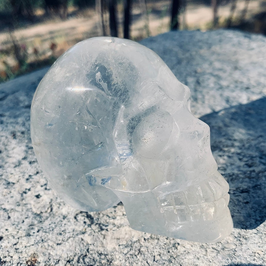 A carved clear quartz skull on a sunlit rock, its eye sockets, cheekbones and teeth catching the light