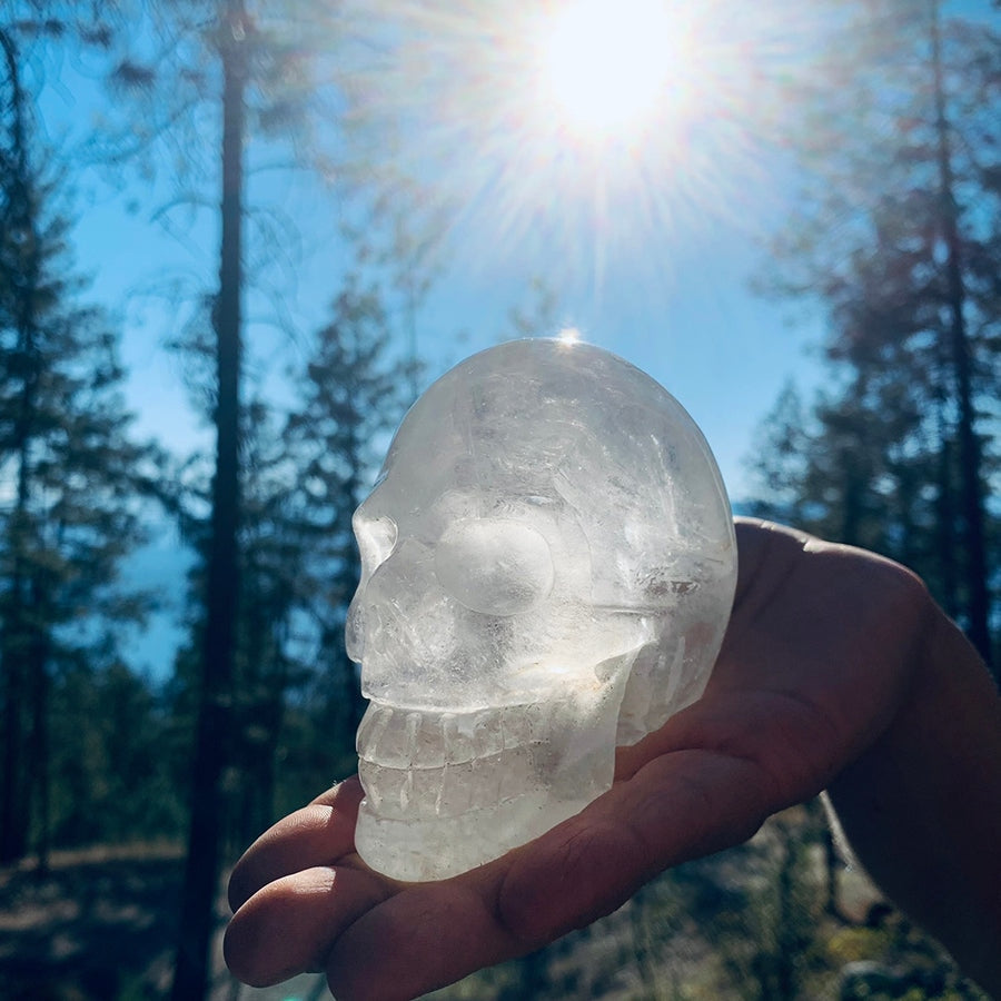 The clear quartz skull held in an open hand against a sunlit forest sky