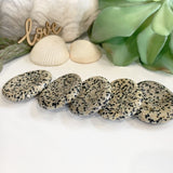 Dalmatian Jasper Worry Stone - worrystone