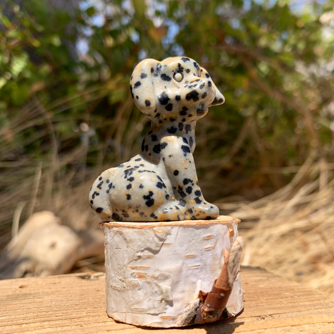 A sitting Dalmatian Jasper dog carving, cream with black speckles, shown in profile on a birch stump outdoors