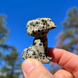 Stor Obsidian Generator 👉 75% RABAT Kun 1-dag