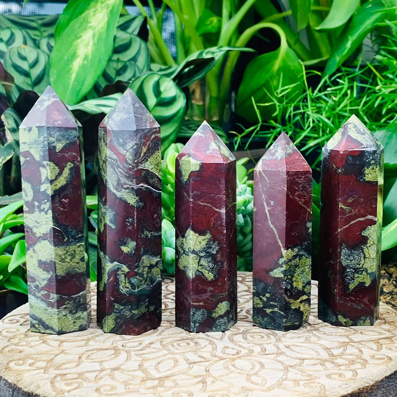 PRIZE WINNER! Dragon's Blood Point
