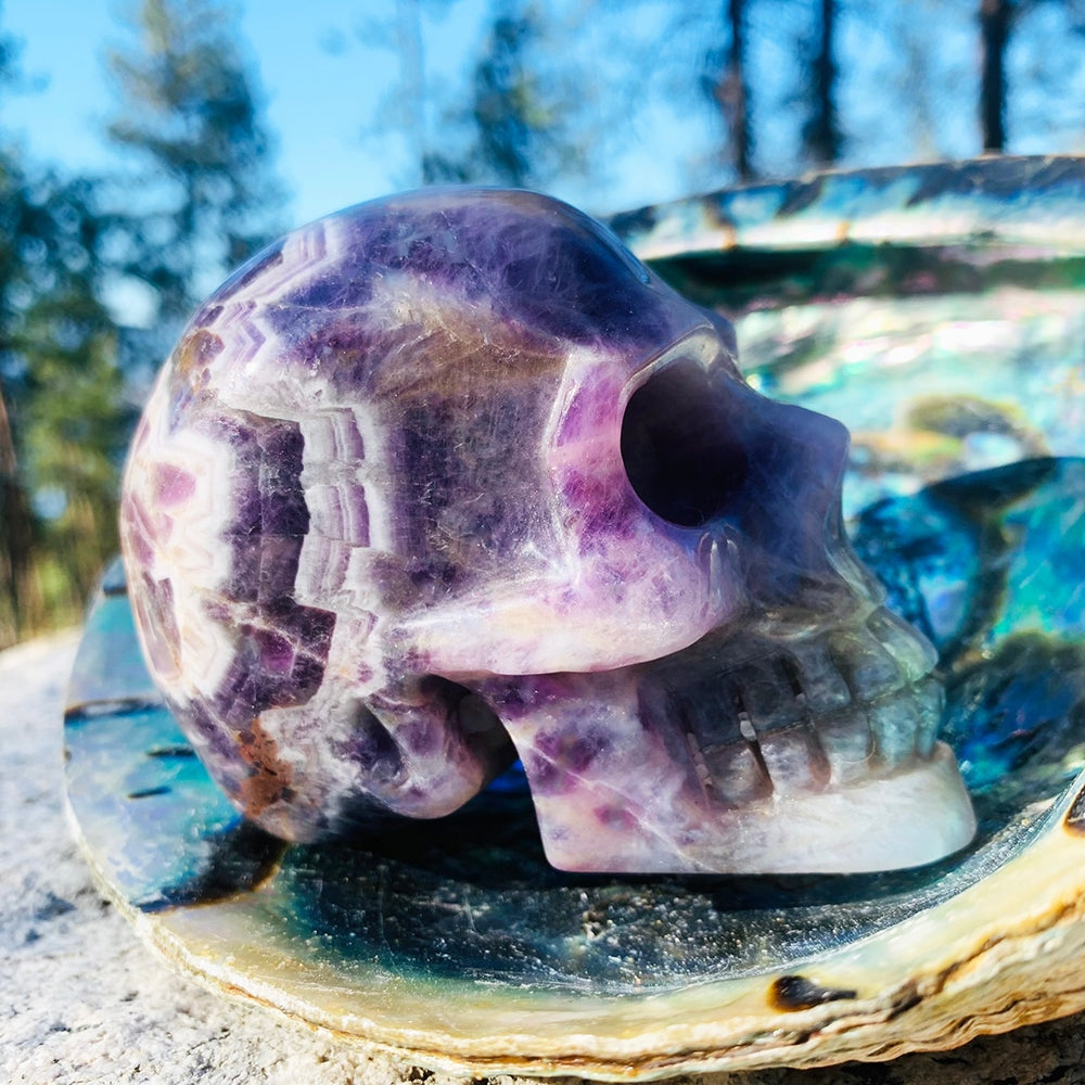 Dream amethyst skull in profile on an abalone shell in sunlight, violet and white bands sweeping across the polished stone