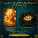 🌙 Éveil féminin sacré 13 jeux de cartes Oracle + mini pierres précieuses