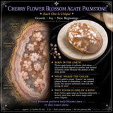 Cherry FlowerBlossom Agat Palmesten