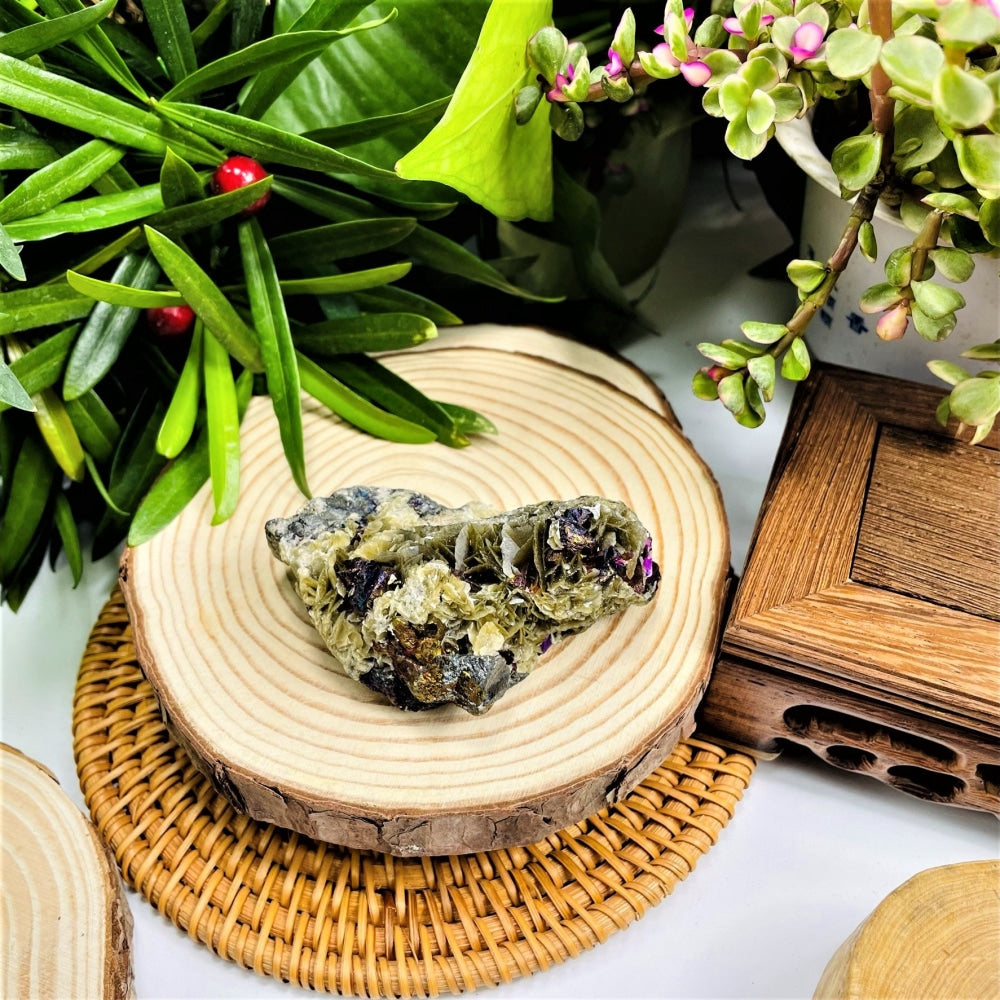 The fosfosiderite specimen displayed on a wooden slice and woven mat among houseplants