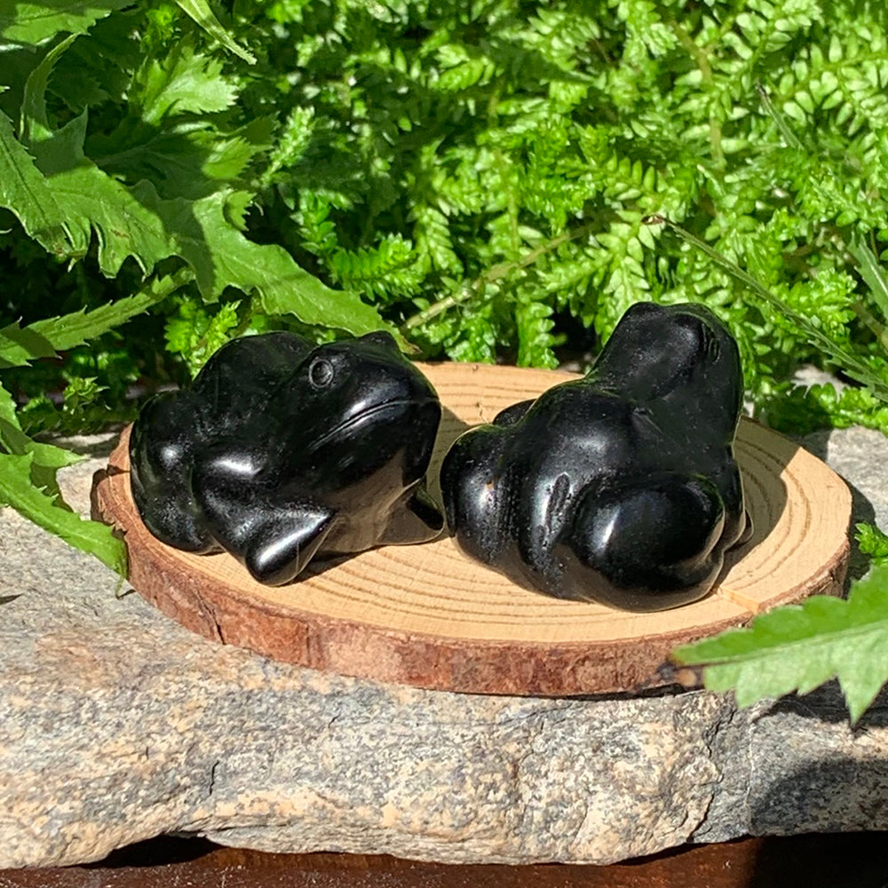 Two glossy black agate frog totems on a wooden slice in sunlight, one facing forward and one turned to show its back