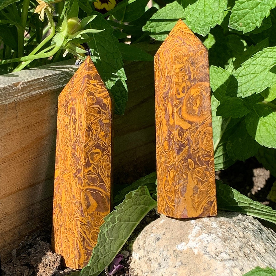 Two polished golden coquina jasper points standing in a sunny garden, each covered in its own gold and brown swirling pattern
