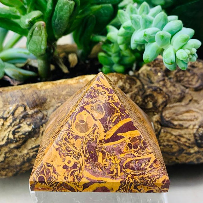 Golden Coquina Jasper Pyramid - Medium - pyramids