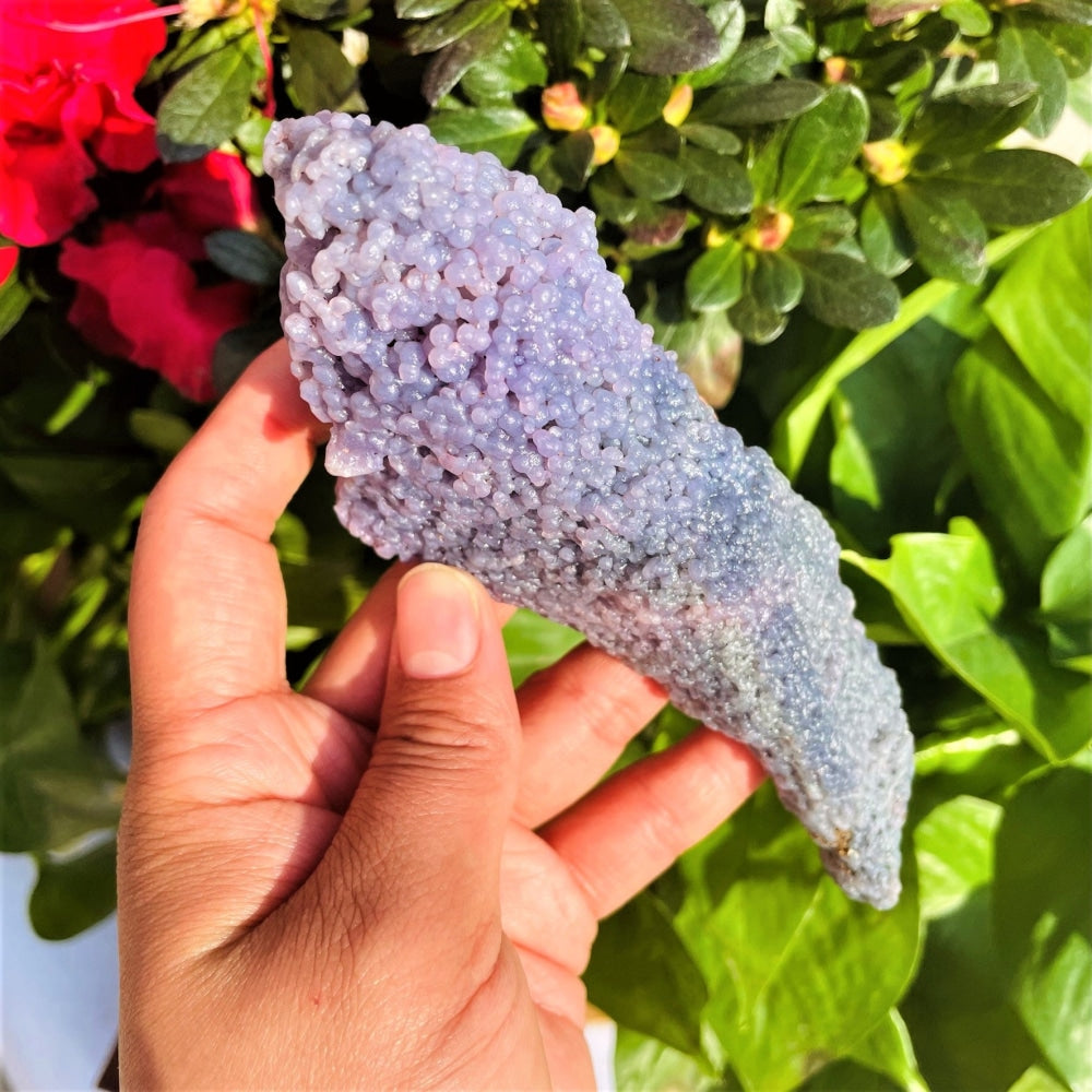 The grape agate specimen held in a hand, covered in tiny lavender and purple bubbles