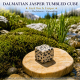 Dalmatiner-Jaspis-Trommelwürfel