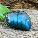 Crystal Healing Course + 8 Crystal Bundle Kit