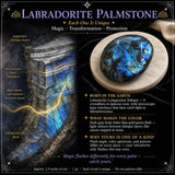 $8 Labradorite Palmstone 1-dages-udsalg