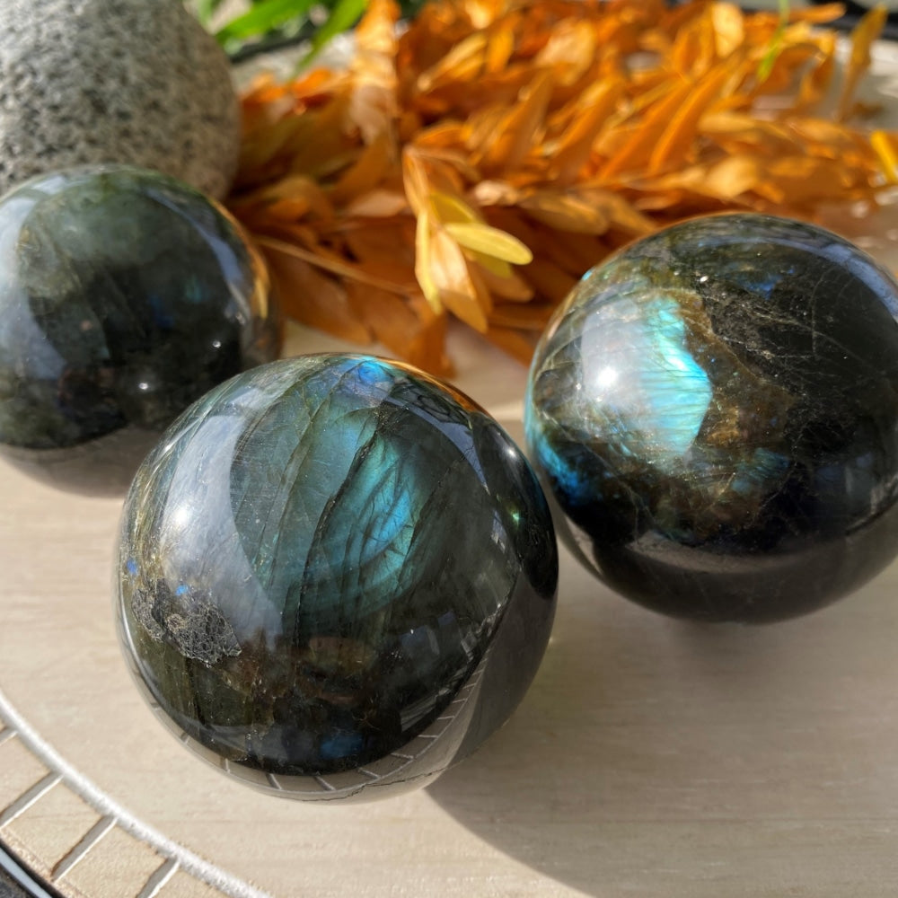 Three polished labradorite spheres on a pale tray, each showing a different pattern of blue and green flash
