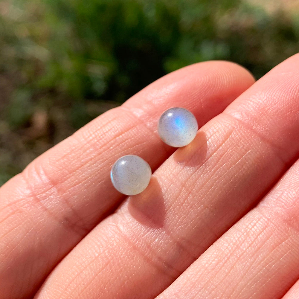 Two round polished labradorite studs resting on fingertips in sunlight, each showing a soft blue flash
