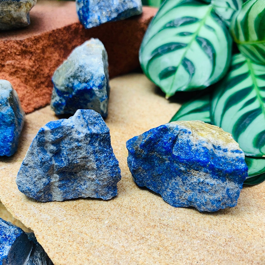 Rough lapis lazuli pieces in deep blue with white calcite, resting on sandstone beside green leaves