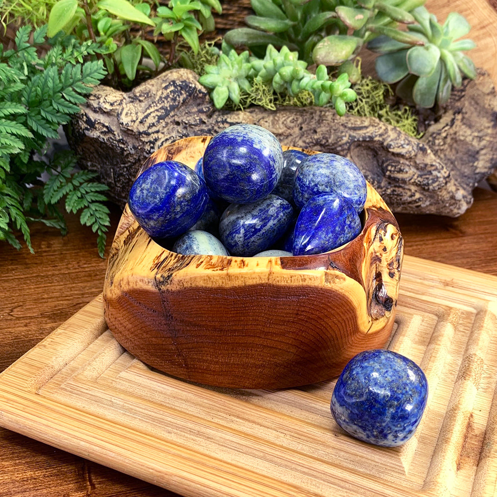 Polished deep blue lapis lazuli tumbled stones with white and gold flecks in a wooden bowl, with one resting in front