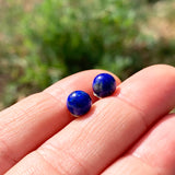 Earrings - Lapis Lazuli Studs